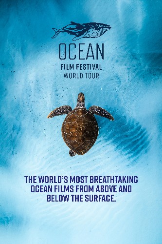 Ocean Film Festival